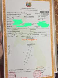 T00170